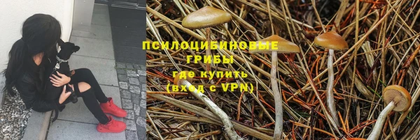 ALPHA-PVP Бугульма